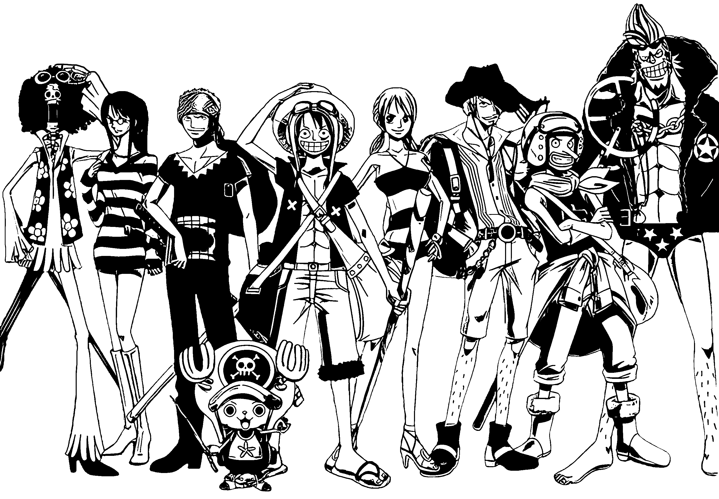 Classic Straw Hat Pirates Pose