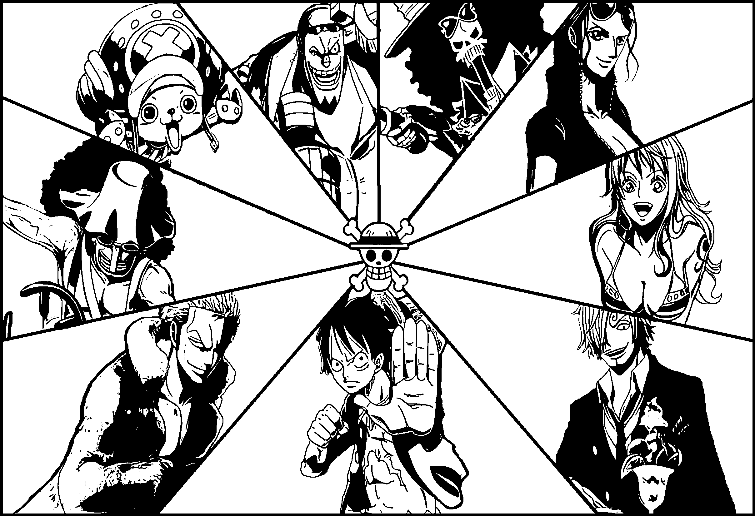 Straw Hat Pirates Radiating Power