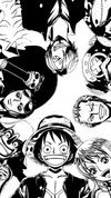 Luffy and the Straw Hat Crew