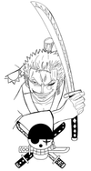 Zoro's Confident Smile