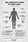 ANIMETAT ink longevity guide by body part